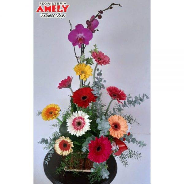 Orquídea con Gerberas